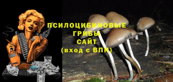 скорость Алзамай