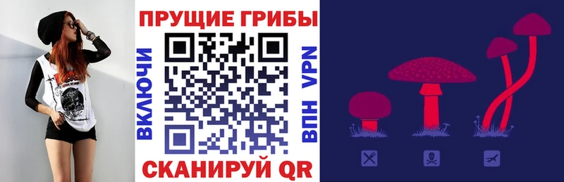 Псилоцибиновые грибы Cubensis  это Telegram  Курчалой 