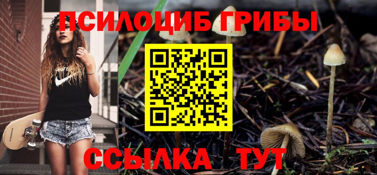 Галлюциногенные грибы Cubensis Курчалой
