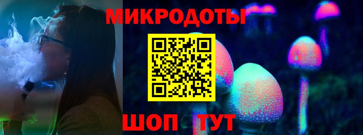 Галлюциногенные грибы Psilocybine cubensis  Вход с VPN  Курчалой 